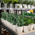 WhatsApp Image 2024-04-02 at 6.47.59 PM (4)